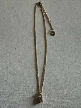 NEW DKNY Rose Gold Padlock Pendant Necklace with Crystal Accents